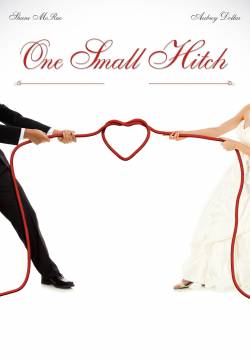 One Small Hitch - Amore per finta (2013)